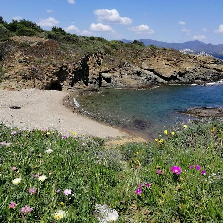 Casa Platja D'En Robert Βίλα El Port De La Selva Εξωτερικό φωτογραφία
