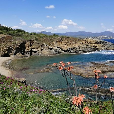 Casa Platja D'En Robert Βίλα El Port De La Selva Εξωτερικό φωτογραφία
