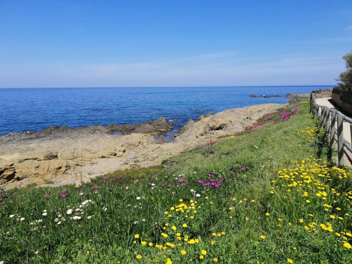 Casa Platja D'En Robert Βίλα El Port De La Selva Εξωτερικό φωτογραφία