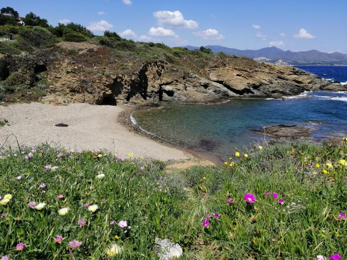 Casa Platja D'En Robert Βίλα El Port De La Selva Εξωτερικό φωτογραφία